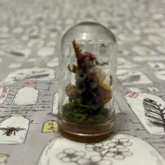 Handmade beetle dome taxidermy jar - Picture 5 of 6